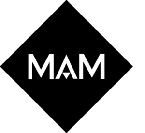 logo website normal